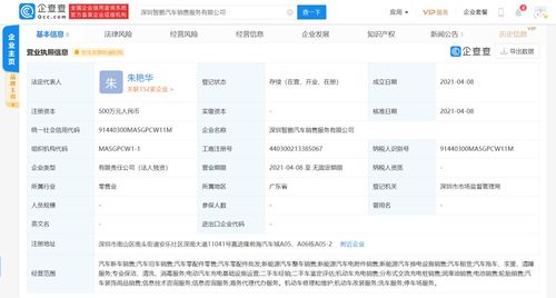 商務(wù)信息咨詢 企業(yè)決策的智慧引擎與商業(yè)成功的導(dǎo)航者